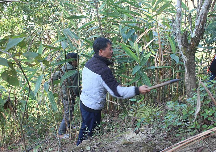 Người dân xã Dào San, huyện Phong Thổ phát dọn thực bì. Ảnh: Bình Minh